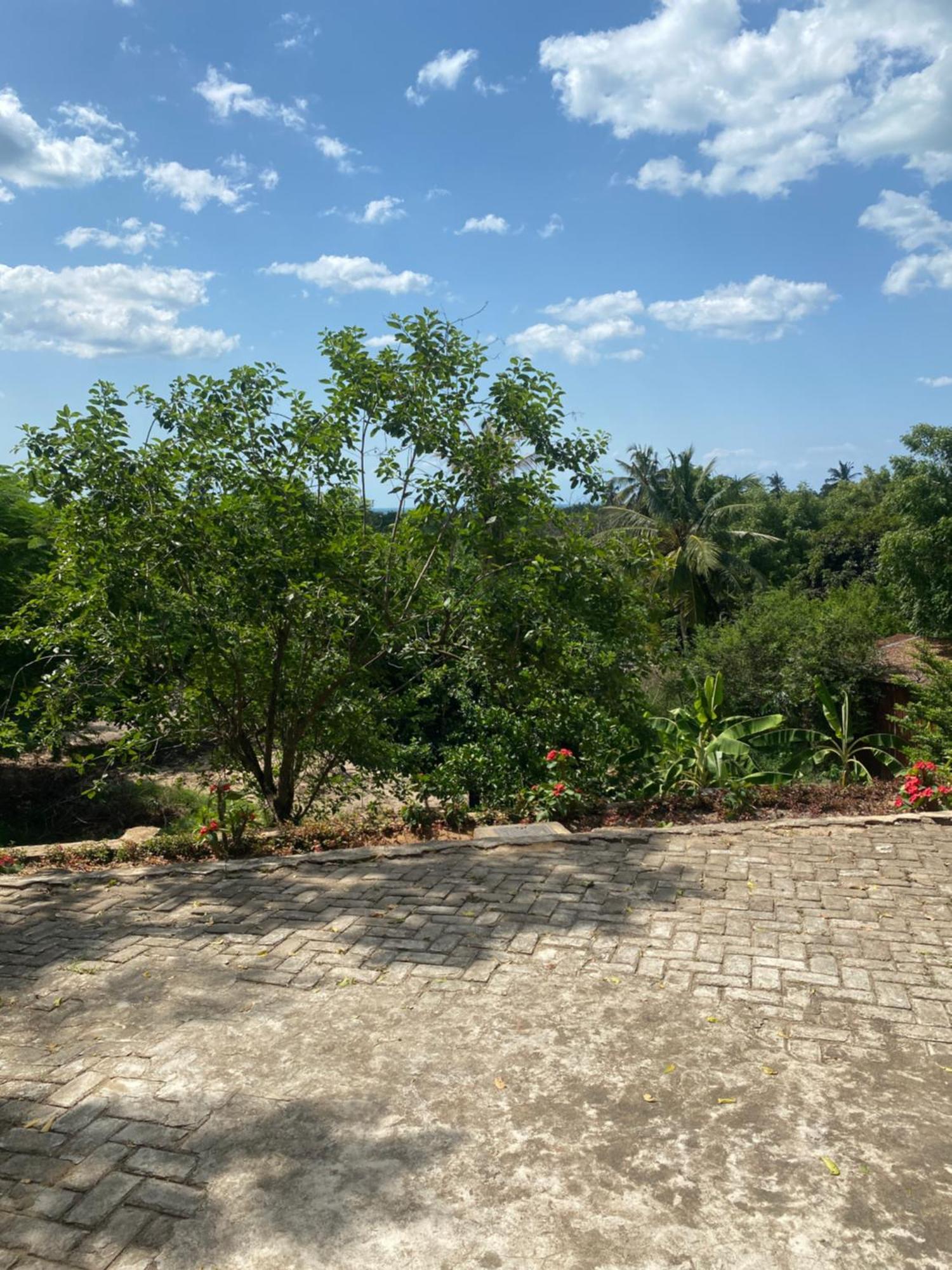 Mikoko Beach & Cottages Bagamoyo Kültér fotó